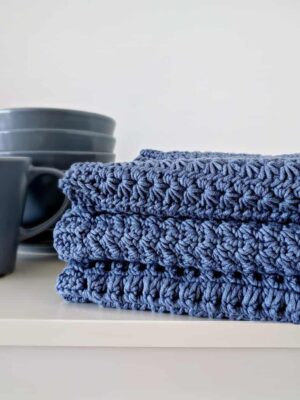 Gourmet Crochet Dishcloth Set - Kitchen Towel Crochet Pattern